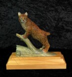 Bobcat standing with it's front paws on a dead log's branch