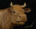 close up of the cow's face
