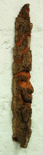 Cottonwood bark spiritface