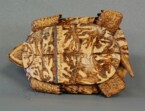 Eastern Box turtle carved from basswood by dylan goodson bottom view