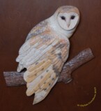 close up of a relief carving of a small barn owl in a shadow box frame