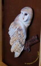 close up of a relief carving of a small barn owl in a shadow box frame