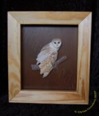 relief carving of a small barn owl in a shadow box frame
