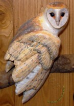 close up of a relief carving of a Barn Owl mounted on an oval plaque