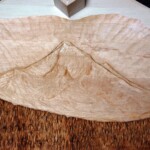 Mount Hood Lost Lake Gun Rack - Mountain closeup